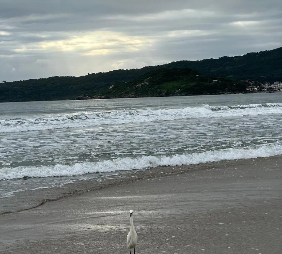 公寓 Pousada Paraiso Ap Proximo Ao Centro Da Praia De Baixo 帕罗卡