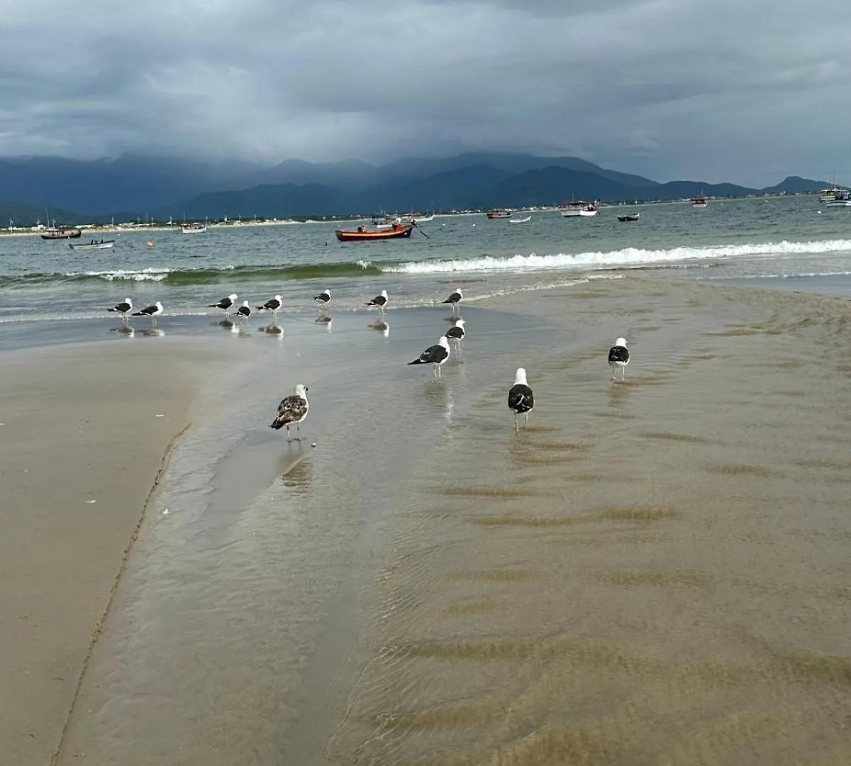 Pousada Paraiso Ap Proximo Ao Centro Da Praia De Baixo Palhoça Brazílie